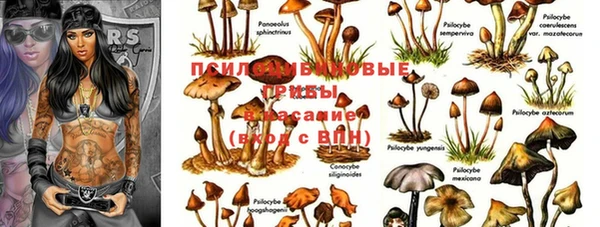 стафф Верхнеуральск