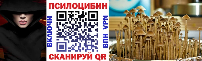 Псилоцибиновые грибы MAGIC MUSHROOMS  дарнет шоп  Яхрома 
